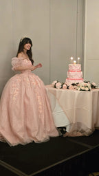 Ball Gown Long Pink Tulle Evening Dress     cg25239