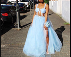 Sexy A-line Blue Tulle Prom Dress,Backless Prom Gown Y1449