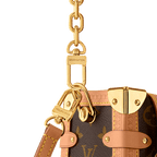 Louis Vuitton M14513 Side Trunk GM