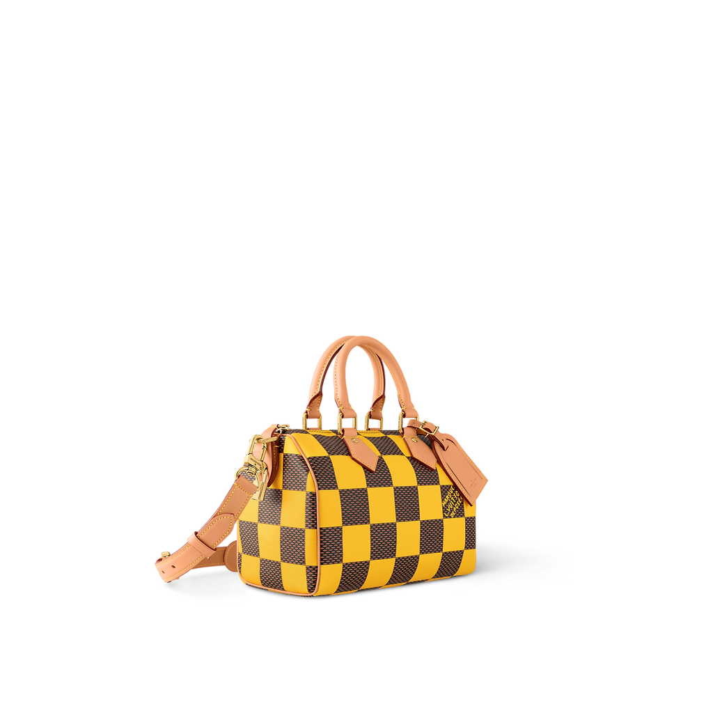 Louis Vuitton N40584 Speedy 25 Bandoulière Damier Pop