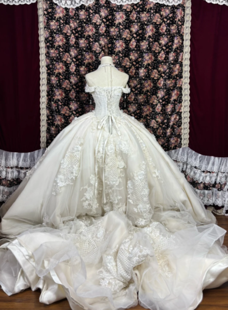 Off The Shoulder Lace Wedding Dress Tulle Formal Wedding Gown  cg26246