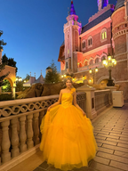 Yellow one-shoulder fitted waist long ball gown/bridal dress R8560