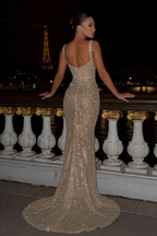 Sparkly Sequin Beaded Champagne Mermaid Evening Dress Birthday Outfits SP797