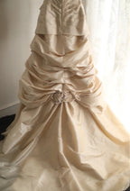 A Line Champagne Wedding Dress Sleeveless Long Princess Evening Dress   cg25941