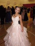 Pretty A-Line Straps Pink Tulle Lace Long Prom Dresses Formal Evening Dress    cg25862