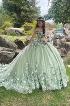 Sage Green Quinceanera Dress Off Shoulder Applique Lace Beaded Tulle Ball Gown for Sweet 16 & 15