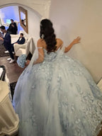 Light Blue Appliques Tulle Lace Quinceanera Dress Ball Gown
