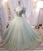 A Line Short Sleeves Long Party Dress Evening Dress Prom Dresses     cg25694