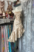 Irregular length Champagne Vintage Short Party Dress Cocktail Dresses Homecoming Dress     cg25848