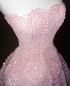 Pink 19th Birthday Outfit A Line Prom Party Dress Evening Dress cg26343