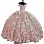 Quinceanera Dress Prom Ball Gowns Applique Corset Back Prom Sweet 16 Dress