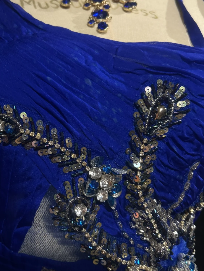 Pretty Royal Blue Chiffon Beaded Mermaid Long Evening Dress Birthday Prom Gown SP1439