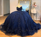 Mexico Navy Quinceanera Dress Ball Gown Floral Appliques Beaded Crystal Corset Sweet 16 Vestido De 15 Anos