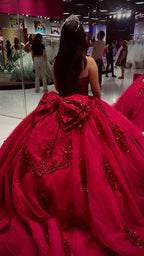 Princess Quinceanera Dresses with Big Bow Sweet 15 16 Ball Gown