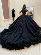 Princess Black Quinceanera Dresses Sixteen Birthday Party Gowns Ball Gowns