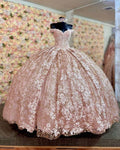 Quinceanera Dress Prom Ball Gowns Applique Corset Back Prom Sweet 16 Dress