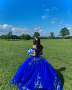 Royal blue quinceañera dress Ball Gown Evening Dress