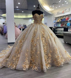 Quinceanera Dress Prom Ball Gowns Applique Corset Back Prom Sweet 16 Dress
