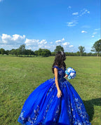 Royal blue quinceañera dress Ball Gown Evening Dress