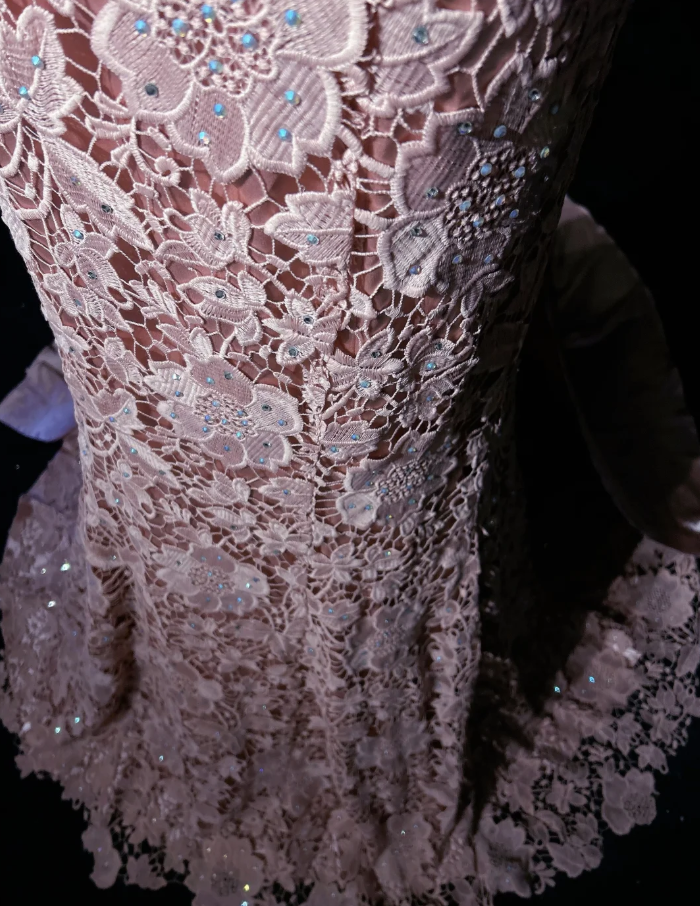 Pretty Pink V Neck Lace Mermaid Birthday Prom Dress Long evening Dress Party Gown