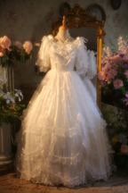 White retro classic fitted waist ball gown R7264