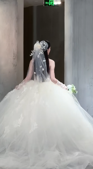 Dreamy Ball Gown Strapless Tulle Applique With Veil Long Wedding Dresses C4056