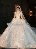 Dreamy Ball Gown Tulle Lace Applique Long Sleeves With Veil Long Wedding Dresses C4089