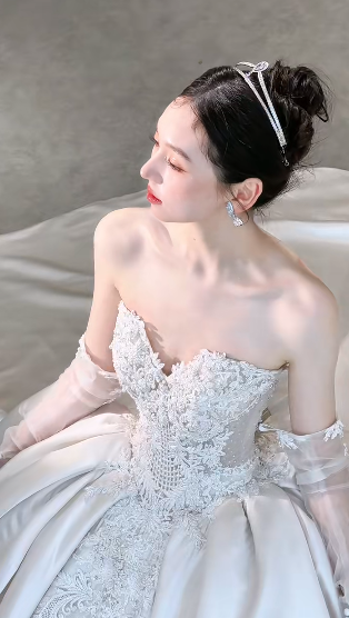 Timeless Ball Gown Starpless Satin Tulle Applique With Veil Long Wedding Dresses C4112