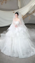 Dreamy White Ball Gown Starpless Tulle Lace With Veil Long Wedding Dresses C4114