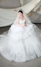 Dreamy White Ball Gown Starpless Tulle Lace With Veil Long Wedding Dresses C4114