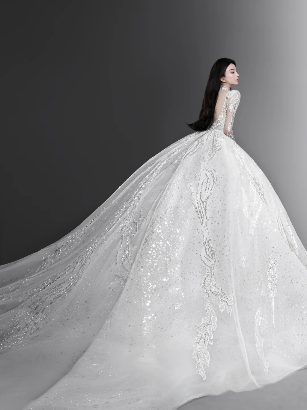 Gorgeous Ball Gown Tulle Lace Long Sleeves Long Wedding Dresses C4136