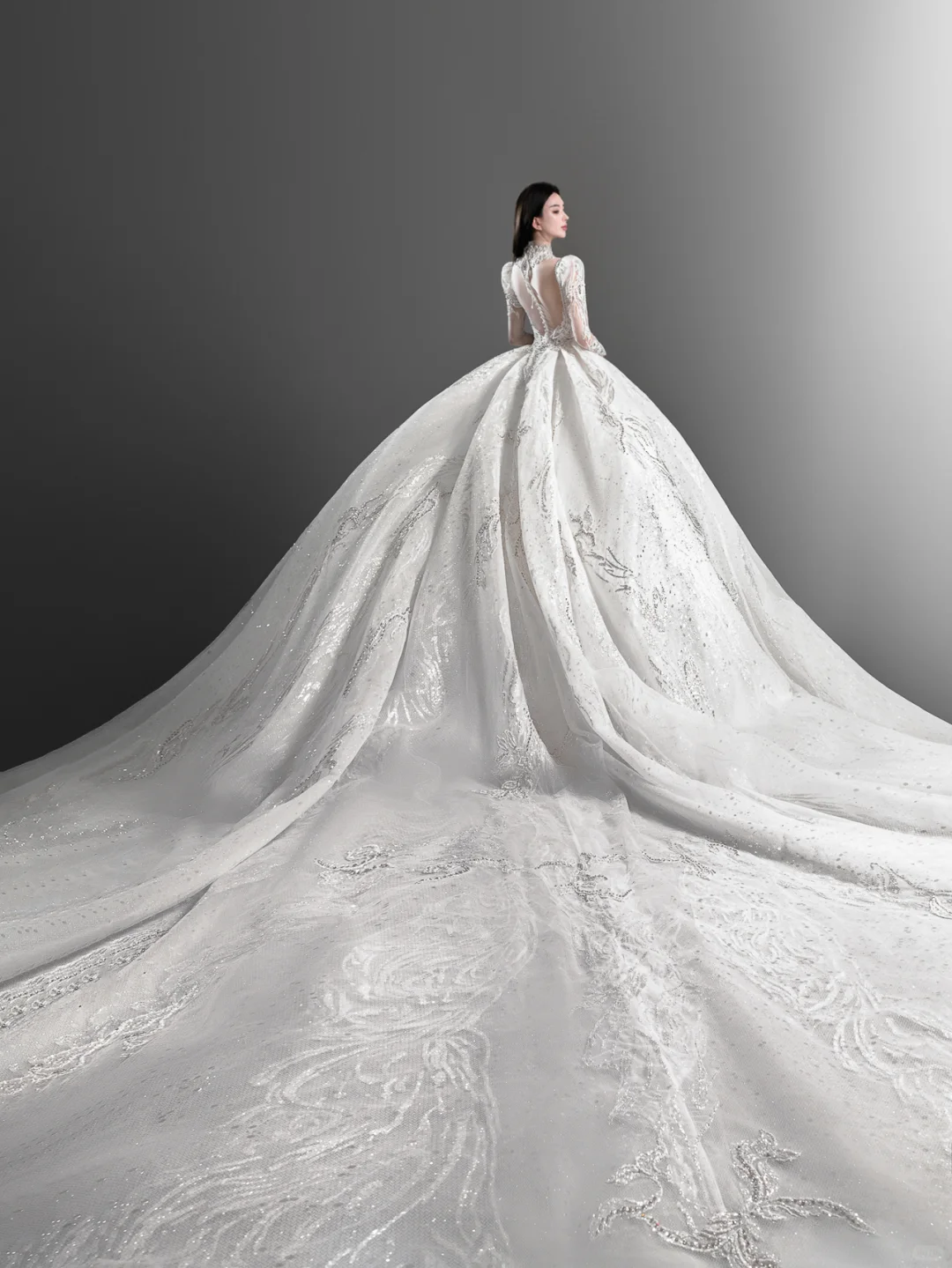 Gorgeous Ball Gown Tulle Lace Long Sleeves Long Wedding Dresses C4136