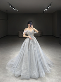 Pretty Ball Gown Off The Shoulder Tulle Lace Applique Long Wedding Dresses C4167