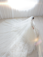 Timeless Ball Gown Tulle Lace Applique Long Sleeves With Veil Long Wedding Dresses C4197