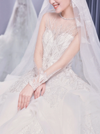 Timeless  Ball Gown Tulle Lace Long Sleeves With Veil Long Wedding Dresses C4211