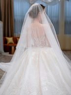 Dreamy Ball Gown Tulle Applique Long Sleeves With Veil Long Wedding Dresses C4226