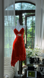 Green Vintage Homecoming Dresses Short Prom Dress Short Party Dress    cg25949