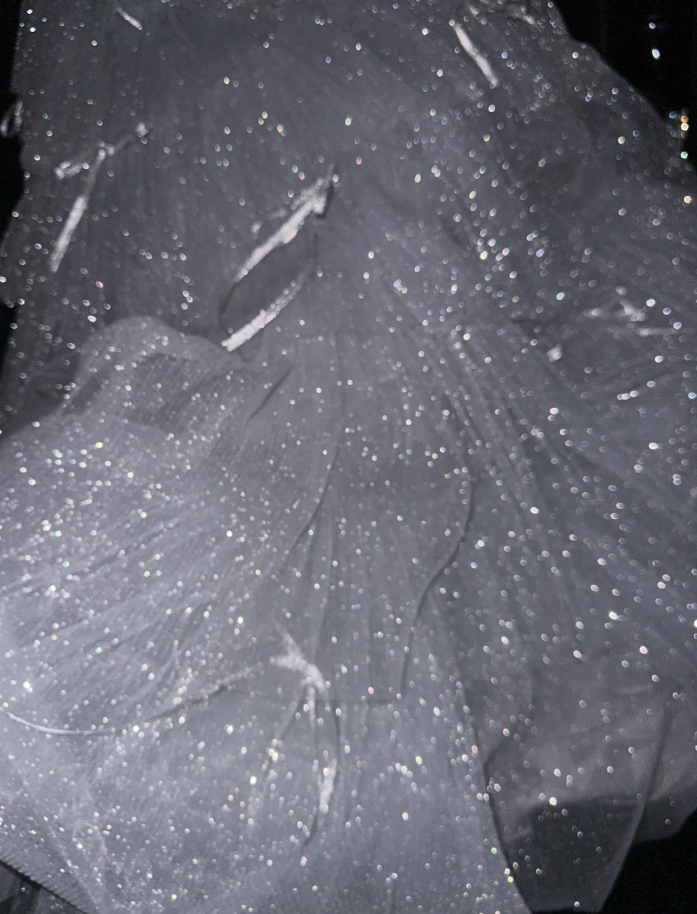 Glitter Strapless Silver Sequin Tulle Layered Mermaid Long Birthday Party Dress Prom Dresses SP1413
