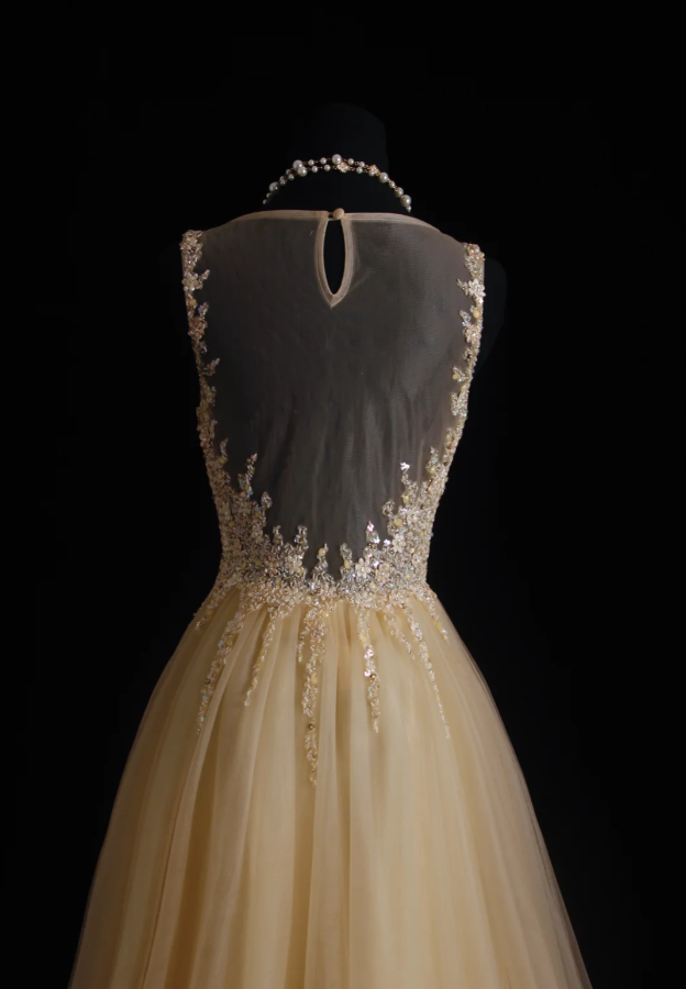 Luxurious Champagne Sleeveless Tulle Beaded Mermaid Long Birthday Party Dress Evening Gown