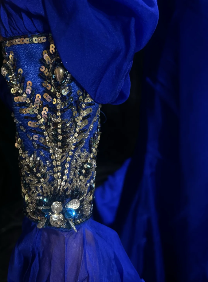 Pretty Royal Blue Chiffon Beaded Mermaid Long Evening Dress Birthday Prom Gown SP1439