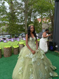 Princess Light Matcha Green Sweetheart Neck Embroidered Tulle Ball Gown Evening Dress Sweet 16 Dress cc5220