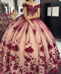 Quinceanera Dress Prom Ball Gowns Applique Corset Back Prom Sweet 16 Dress