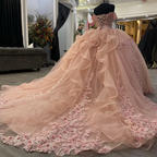 Pink Lace Long Prom Dresses Ball Gown Sweet 16 Dresses