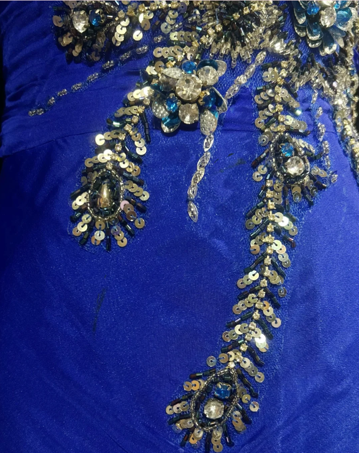 Pretty Royal Blue Chiffon Beaded Mermaid Long Evening Dress Birthday Prom Gown SP1439