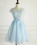 Light Blue Lace Cap Sleeves Cute Short Party Dress, Blue Homecoming Dress    cg12963
