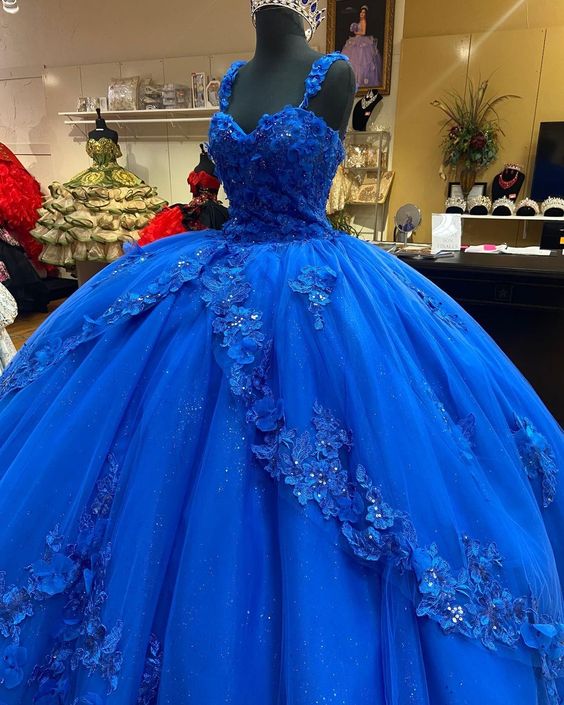 Amazing Princess Jewels dress Long Prom Dress    cg15409