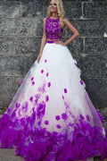 beautiful ball gown crop top quinceanera dress ball gown prom dress    cg15659