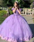 A-line Off Shoulder Evening Dress, ball gown Party Dresses       cg24708