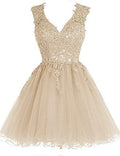 Homecoming Dress Short Cocktail Dress Lace Homecoming Dresses  cg8495