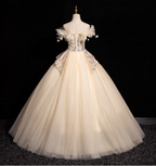 Elegant Champagne One-Shoulder 3D Floral Tulle Long Ball Gown Evening Dresses Sweet 16 Dresses